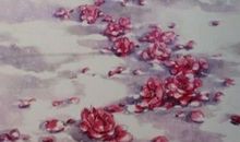 浅浅海峡，忧忧梦_700字