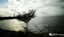 因为坚强，所以美丽_750字