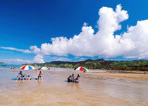 美丽的钓鱼旅馆_1000个单词