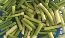 那棵坚强的蒜苗_1000字