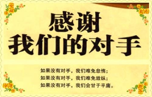 关于对手的成分：谢谢，500字