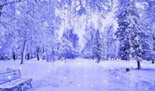 [PK赛]关于冬天的作文：冬雪_550字