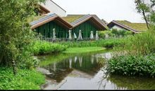 游江洋畈生态公园_550字