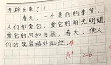 关于四季的作文：美丽的四季_350字