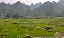 参观八卦田_500字