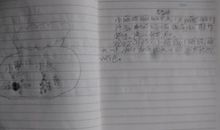 小蝌蚪观察日记_450字