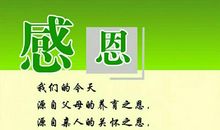 感恩节好段好句：感谢生活_800字