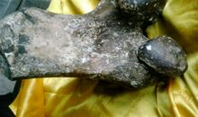 奇妙的石头_300字