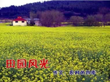 关于四个季节的组成：国家四个季节_500个单词