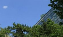 关于雷的作文：美丽的错误 ――读《雷雨》有感_800字