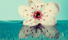 做一个心灵美的人_450字