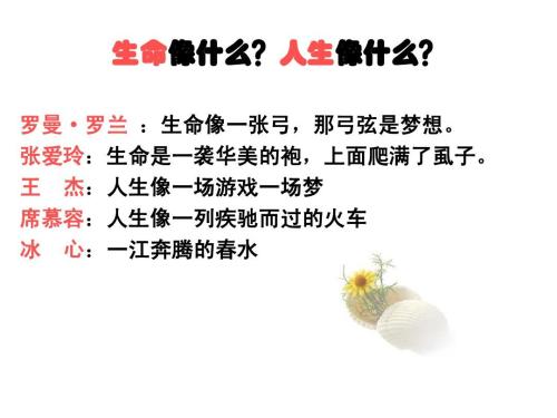关于四个季节的作文：我的四个季节Performance_550字