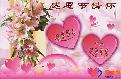 感恩节的好句子：感恩节，life_800字