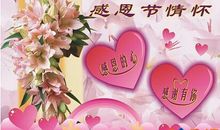 感恩节好段好句：感恩，生命_800字