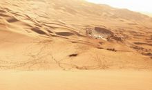 大漠的飞鸟_650字