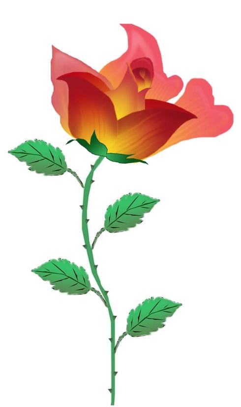 永不褪色的六色花_1200字