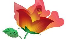 一朵永不凋谢的六色花_1200字