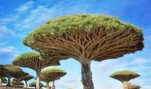 一把难以让我释怀的雨伞_1000字