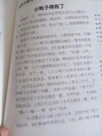 六年级想像力作文：手敲_700字