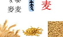 《三袋麦子》续_500字