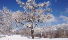 [PK赛]关于冬天的作文：北国的冬天_250字