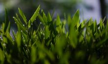 人生处事精彩箴言