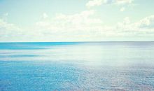 [PK赛]关于读后感的作文：读《面朝大海 春暖花开》有感_900字