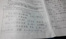 关于四季的作文：家乡的四季_650字