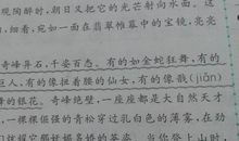 精美仿写句子摘录