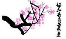 关于梅花的作文：梅花_350字