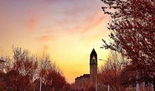 初夏不流泪_750字