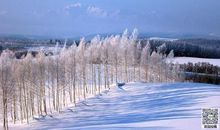 [PK赛]关于冬天的作文：栖息南方的冬天_1500字