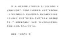 关于劳动节的作文：美好而难忘的五一_600字