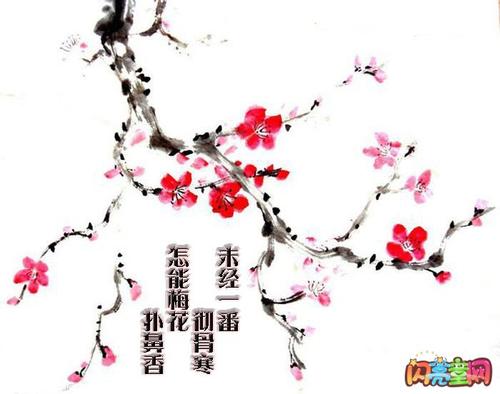 关于梅花的组成：梅花_800个单词