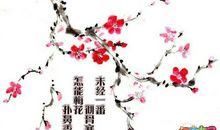 关于梅花的作文：梅花_800字