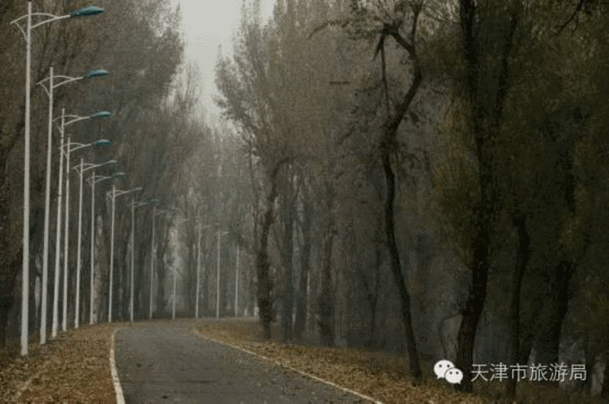 我去潮白河_350字