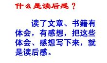 [PK赛]关于读后感的作文：读《丑小鸭》有感_900字