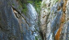 [我的偶像]眼前的路，就是那么崎岖_1200字