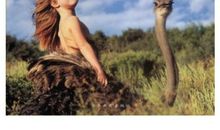 读《我的动物朋友》有感_2000字