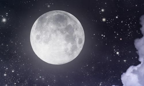 我在月球上的一天_1500字