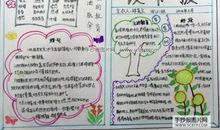 处处都有爱——爱的教育读后感_700字