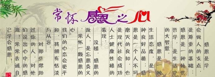 感恩节作文：学会用心表达对世界的感激_700字