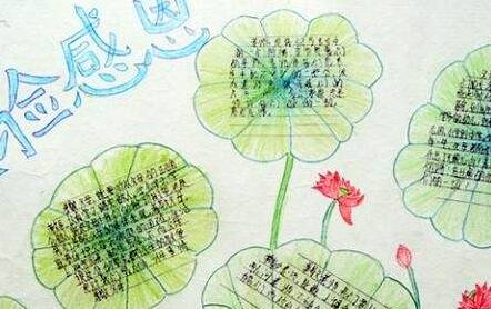 感恩节的组成：加拿大的感恩节和美国的_700个单词有什么区别