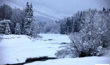 [PK赛]关于冬天的作文：寂寞的冬_800字