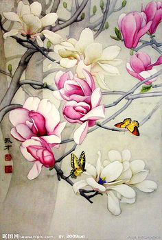 玉兰花在教室门口_350字