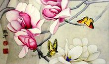 教室门前的玉兰花_350字