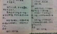 关于夏天的作文：我最喜欢夏天_300字