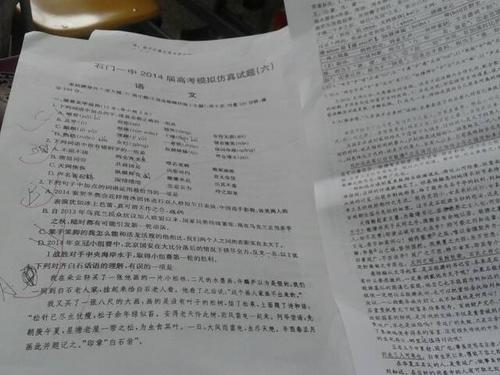 六年级期中考试作文：试卷发布后_450字