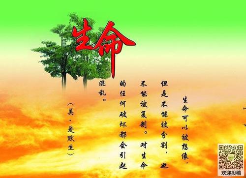 [PK赛]关于人生的构图：珍惜生命，让生命闪耀_2000字