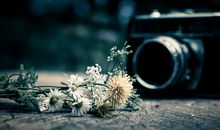 2016高考热点时事：蹲着=没教养？